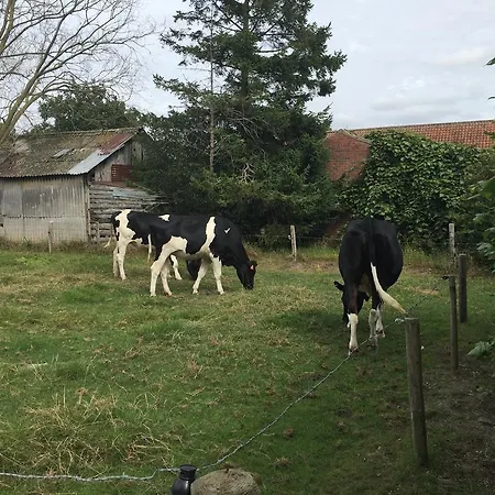 Vakantielogies Boerke Naas-3