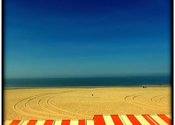Zee Vakantievilla Begijnhof 5 De Haan